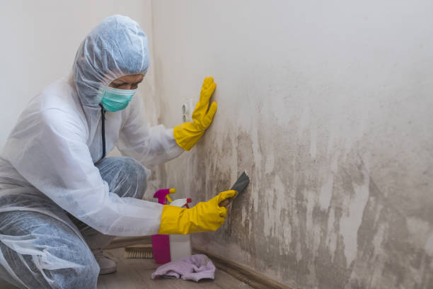 Best HVAC Mold Inspection and Cleaning  in Long Neck, DE