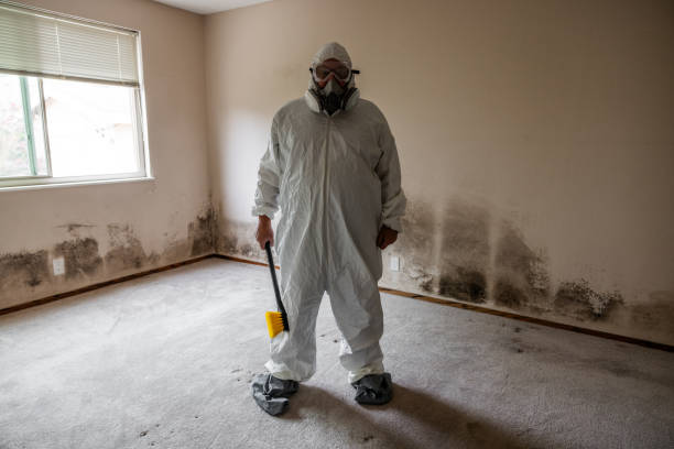 Best Biohazard Mold Removal  in Long Neck, DE